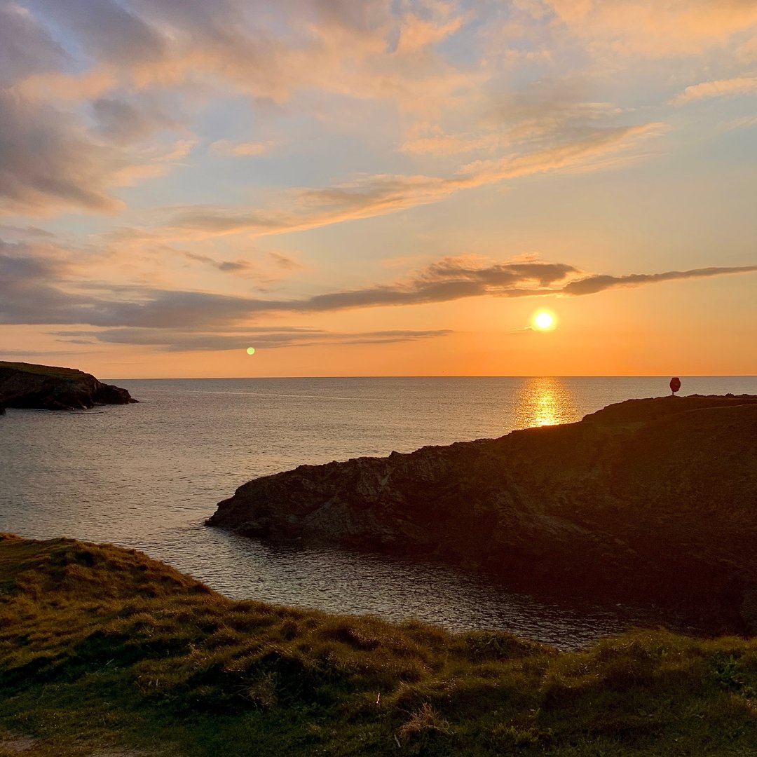 Goodnight Cornwall x
