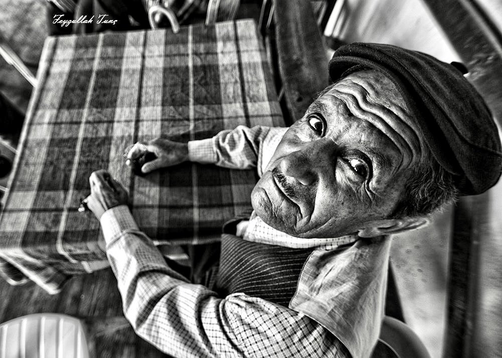 The looks silently tell the whole story.  .  . #NFTs #NFTCommumity opensea.io/collection/por…