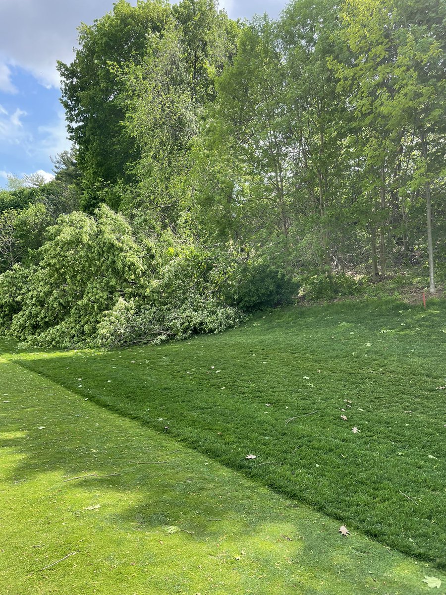 timster2x's tweet photo. Big tree down on 11:
#theISpy https://t.co/05OYbt7dou