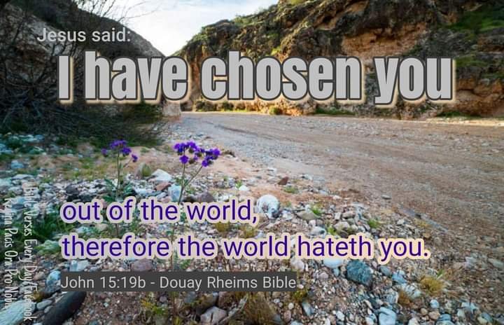 DouayRheims1's tweet photo. I have chosen you out of the world, therefore the world hateth you. (John 15:19b, Douay Rheims Bible)

#Jesus #Bible #CatholicChurch #WeekdayMass https://t.co/92CBTsqfHs