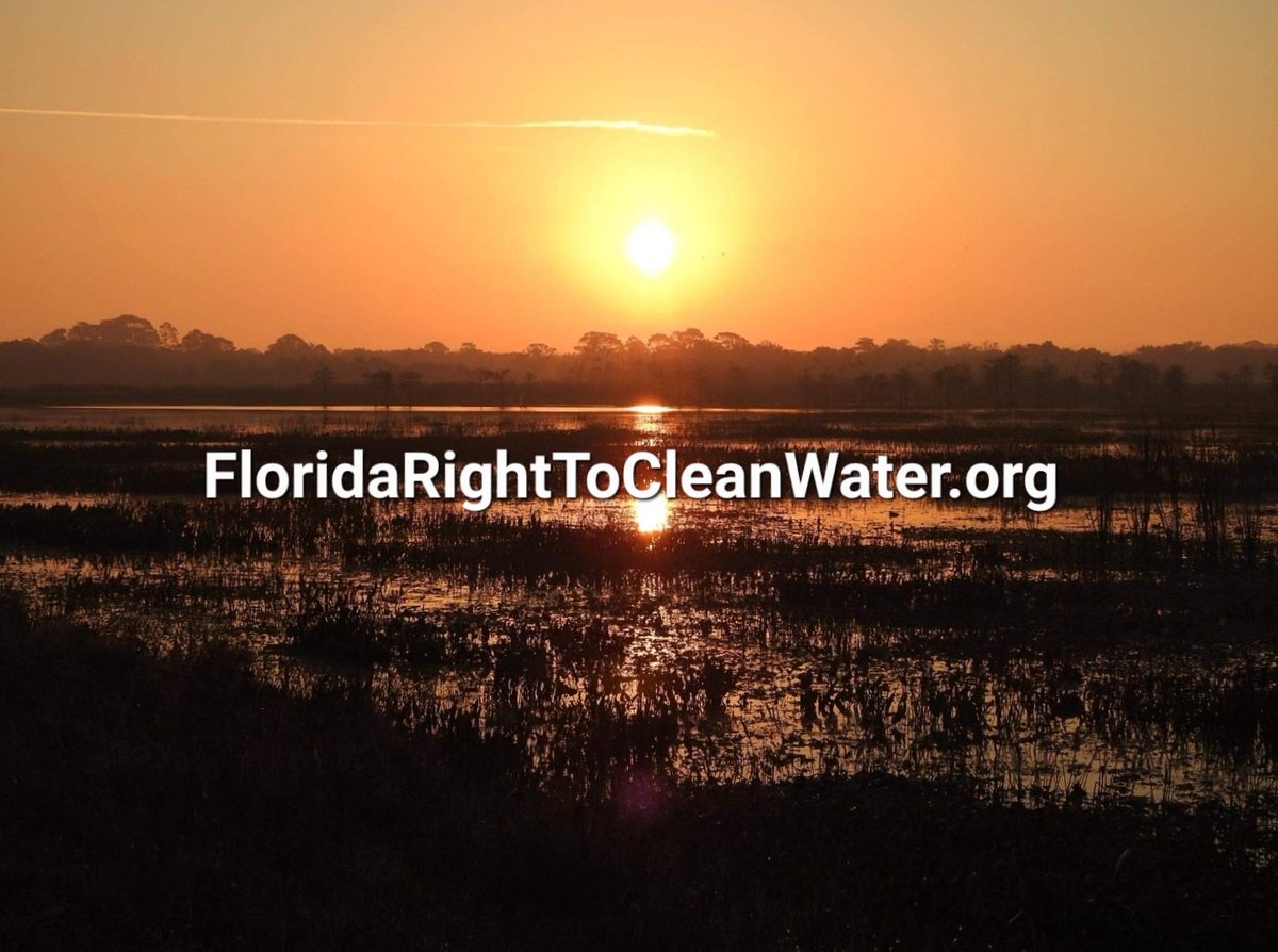 FL_RTCW's tweet photo. Most online petitions ask you to "urge" officials to protect water. This petition helps CREATE NEW LAW, *making them*. Sign it today.🖋 #ImportantDifference #WatershedMoment https://t.co/Szh7j5HQJg