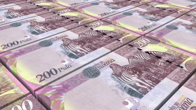 Pula currency 2024