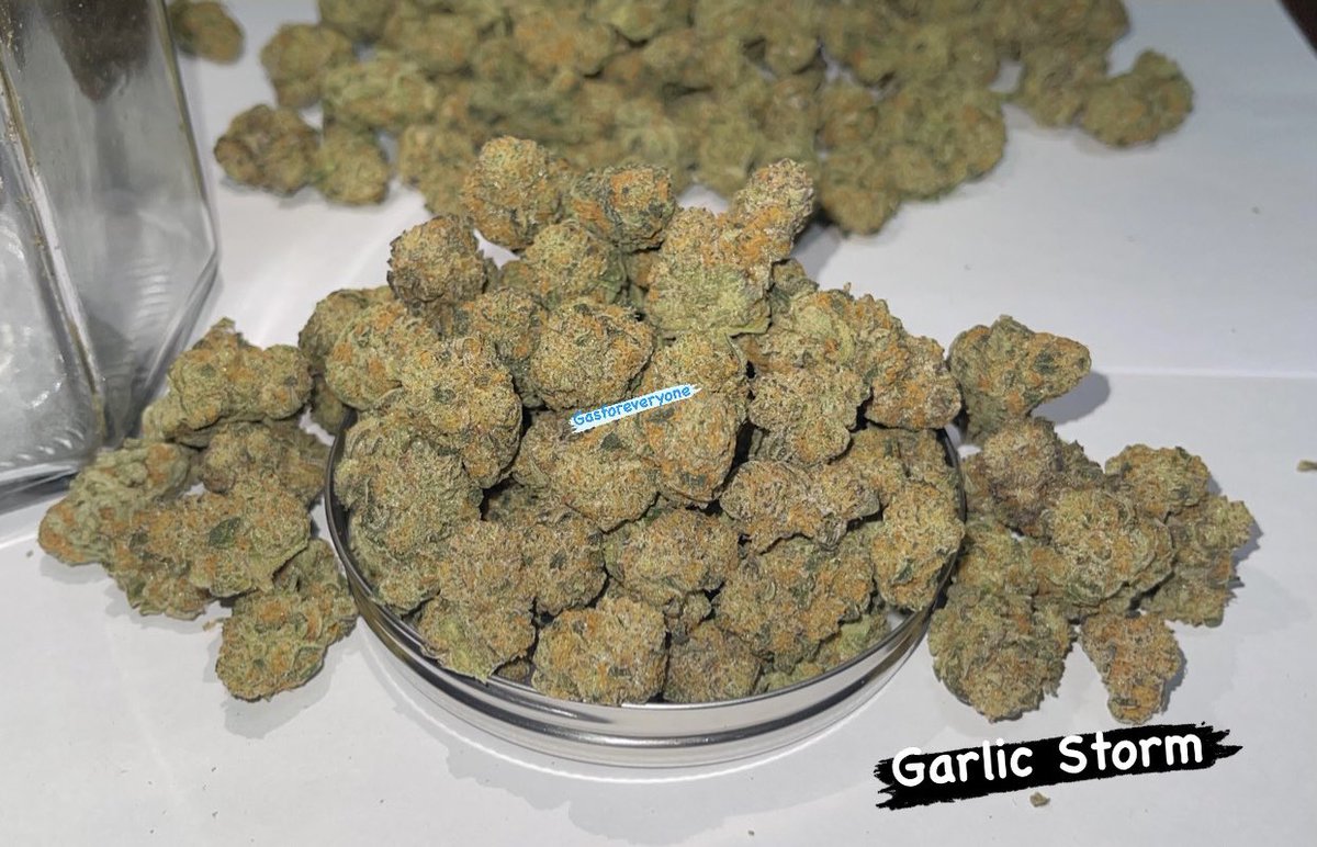 Goodgasth's tweet photo. “Garlic Storm”-sleepiness,pain relief 😴

Happy Sunday with -5%off💚
👇🏻
Mini Pack10g/4500B
1/2oz 15g/6,000B
1oz   30g/11,500B 
DM me,Line App.🙏
#bkkweed #bangkokweed 
#กัญชาออแกนิค #kohchangweed #samedweed #kohkoodweed #thaiweed #OG #กัญชานอก #weedimport #gasforeveryone https://t.co/kRQZAFf5Fx