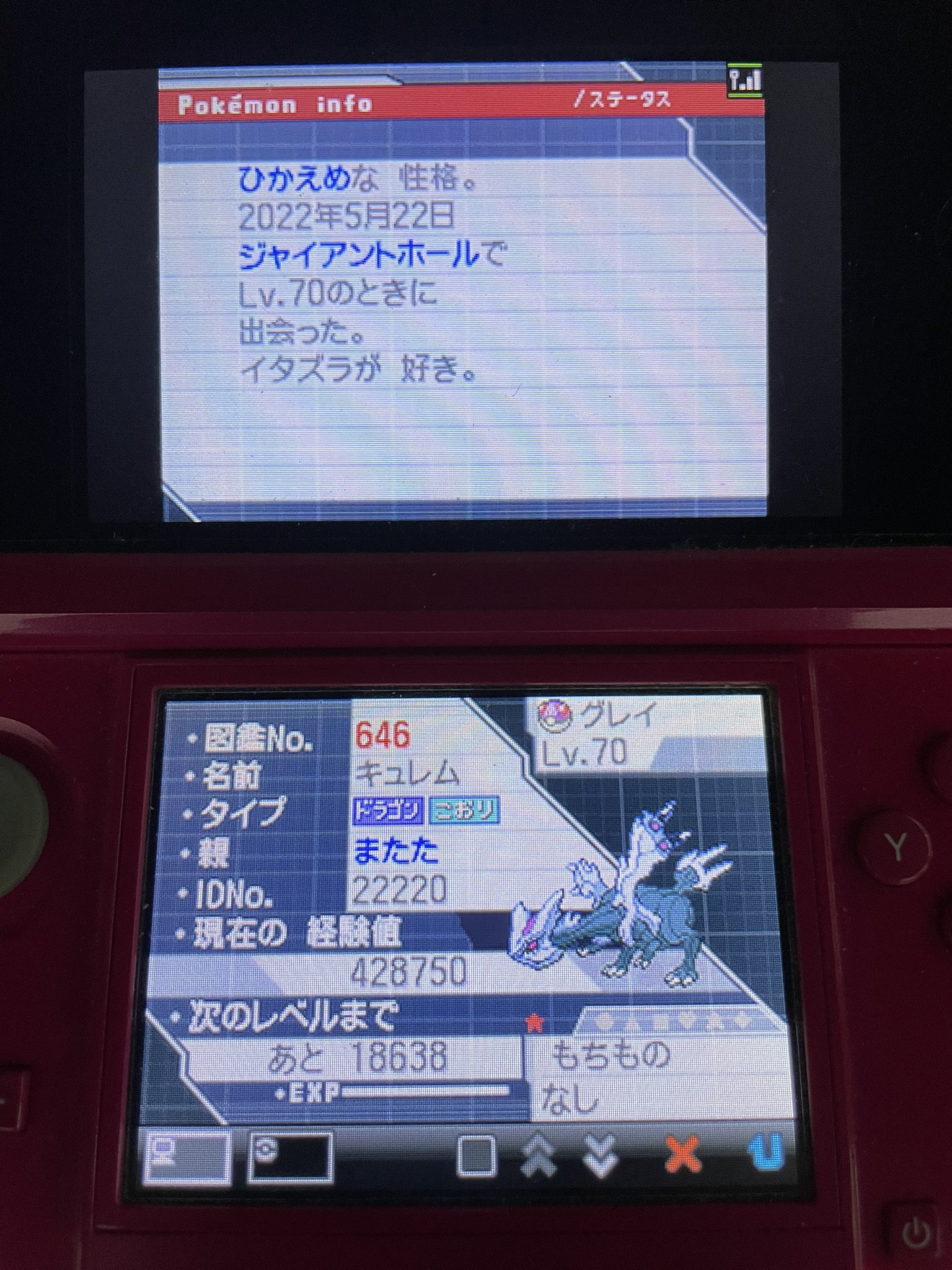 またこ Bw2でやっと色違いキュレム光ったぁぁぁぁぁぁ 伝説のポケモンで1番かっこいい ブラックキュレムのが好きだけど控えめだしまぁいいやww T Co 9ecyaz6ss8 Twitter