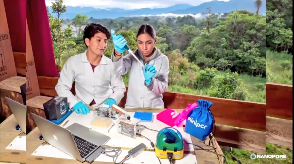 Mauricio Ortega tweet media