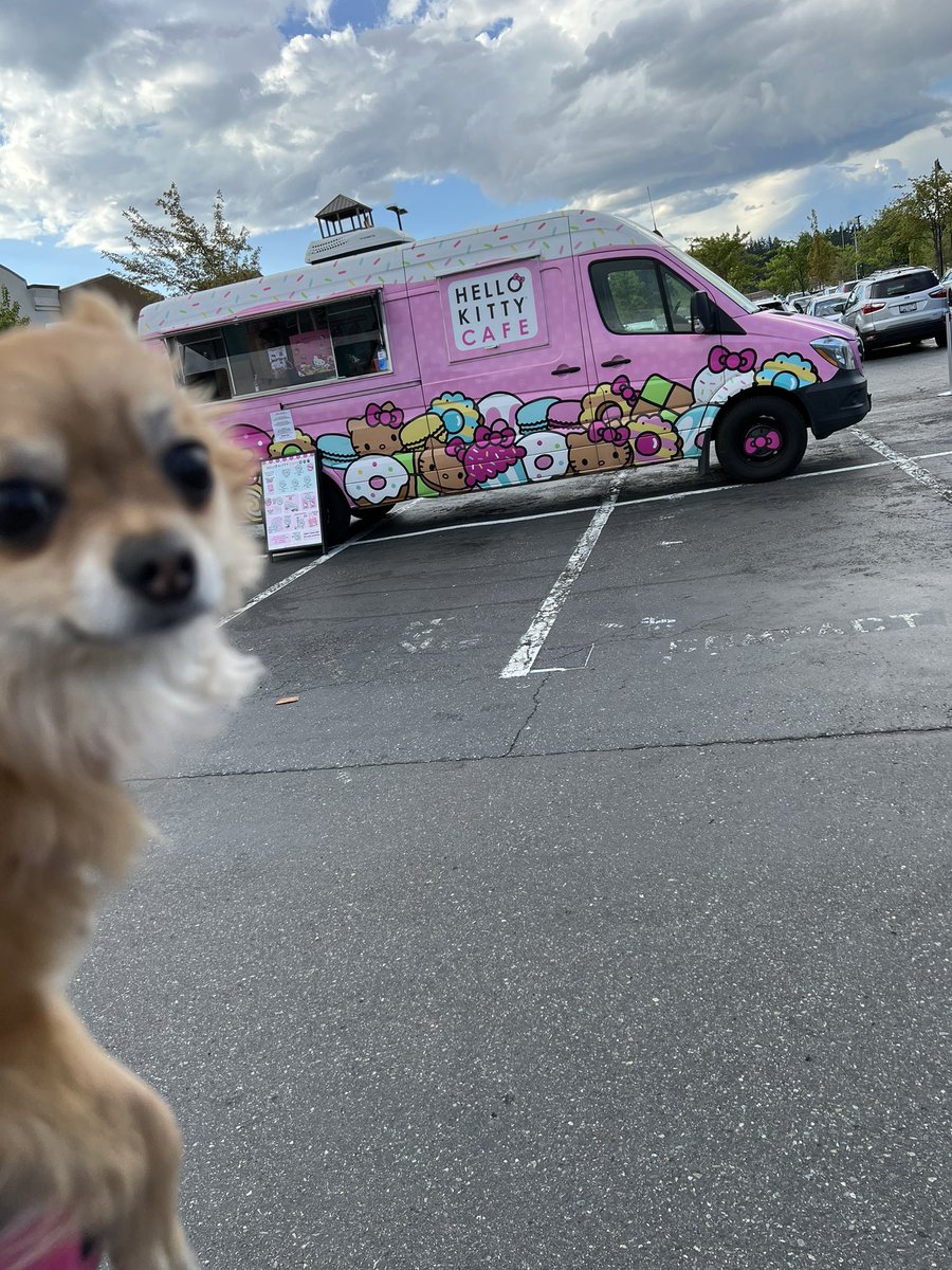 AnathemaThePup's tweet photo. Went to check out the Hello Kitty food truck today. 
🐶😸 https://t.co/kgqbo4fSMZ
