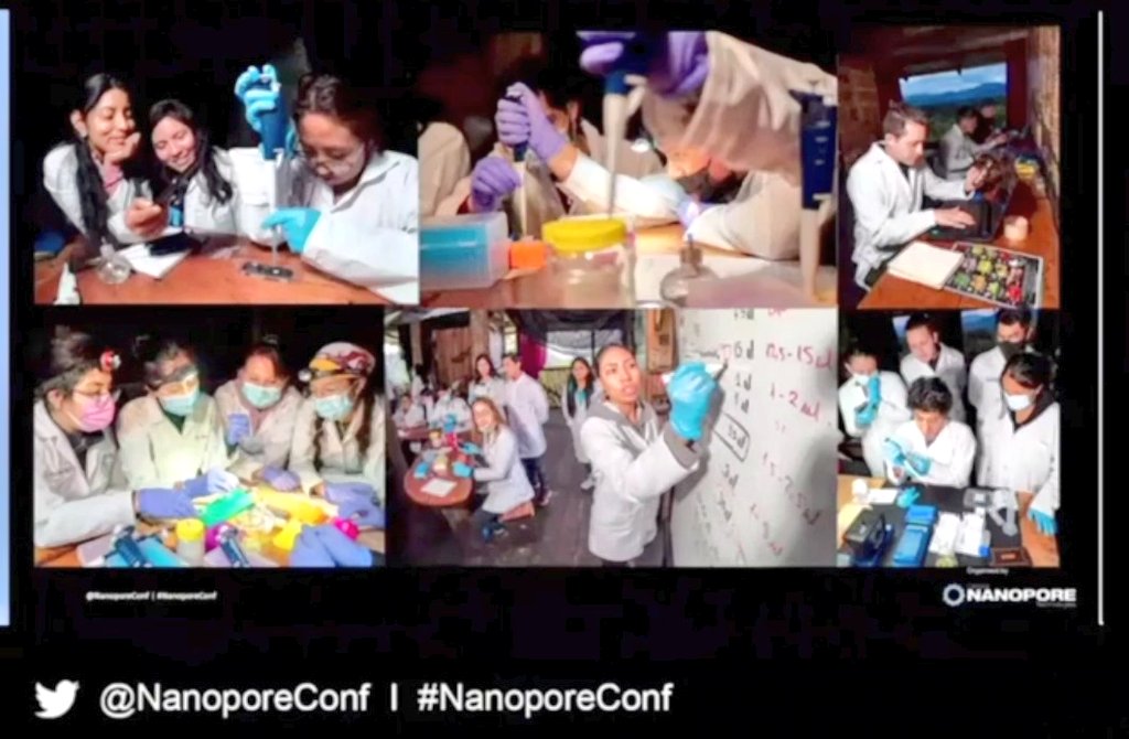 Mauricio Ortega tweet media