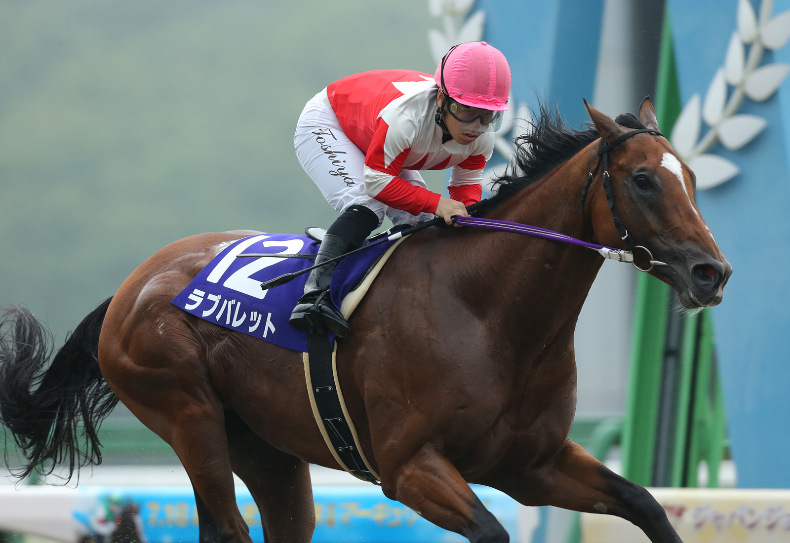 岩手競馬 Iwatekeiba 5 24 火 第9競走 ありがとう ラブバレット号 について 岩手競馬では 岩手競馬 所属馬として数々の輝かしい功績を残し 昨年5 25 火 にこの世を去ったラブバレット号を称え 同馬の名前を付した競走を実施いたします 岩手