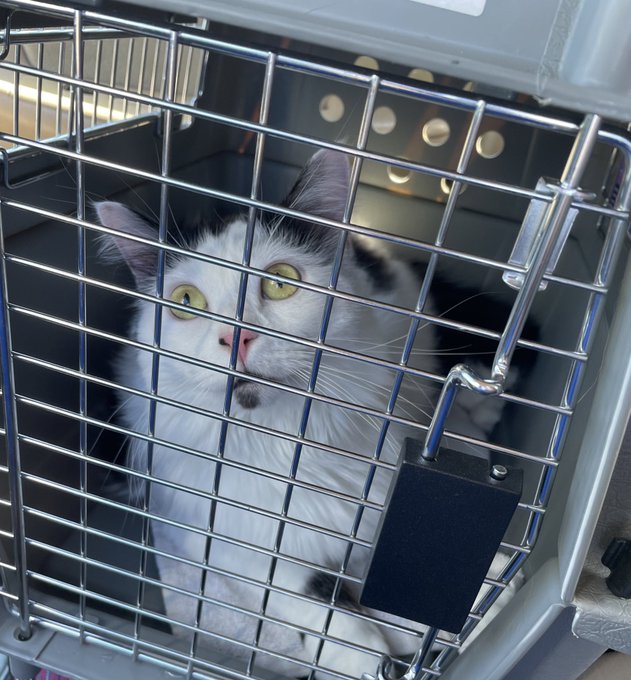 My Girls had their Yearly Today👩&zwj;⚕️🩺 https://t.co/h7kZDpEG0M