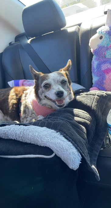 My Girls had their Yearly Today👩&zwj;⚕️🩺 https://t.co/h7kZDpEG0M