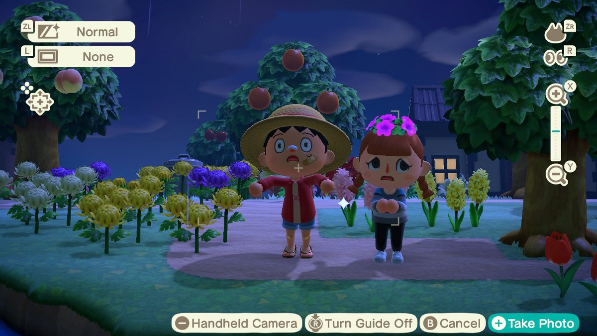 tinyacnh's tweet photo. #AnimalCrossing #ACNH #NintendoSwitch HEHEHE https://t.co/wlmpwVo5xF