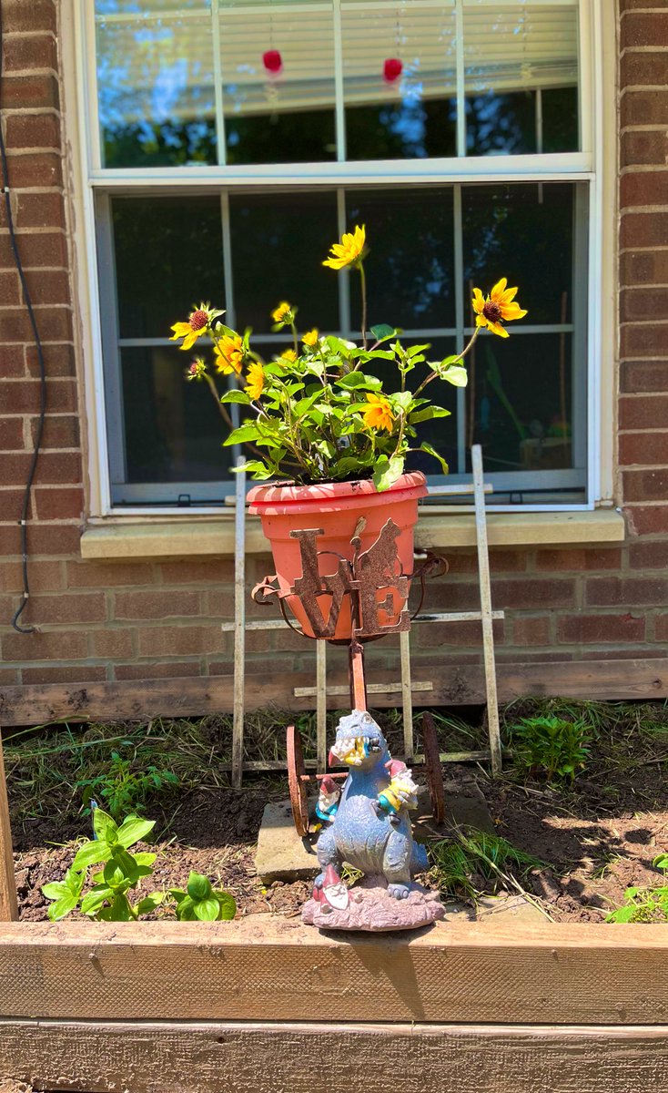 Denise Fitzpatrick tweet media