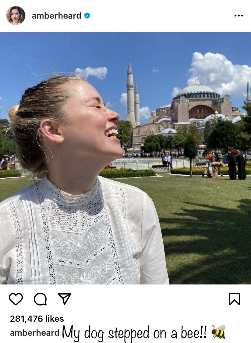 maytrinity74's tweet image. Enjoy this meme I made!! #amberturd #MyDogSteppedOnABee #justiceforjhonnydepp