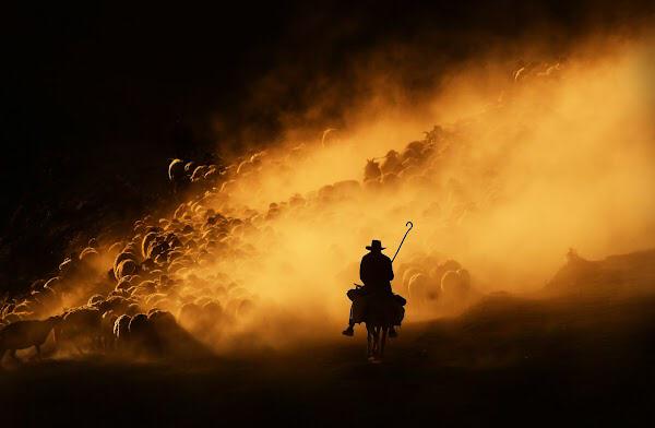 Gn #Nft fam

What did Goethe say as he took his last breath: "Light... More light..."

Have a good weekend 🌍🕊

#NFTCommunity 
#NFTphotographers