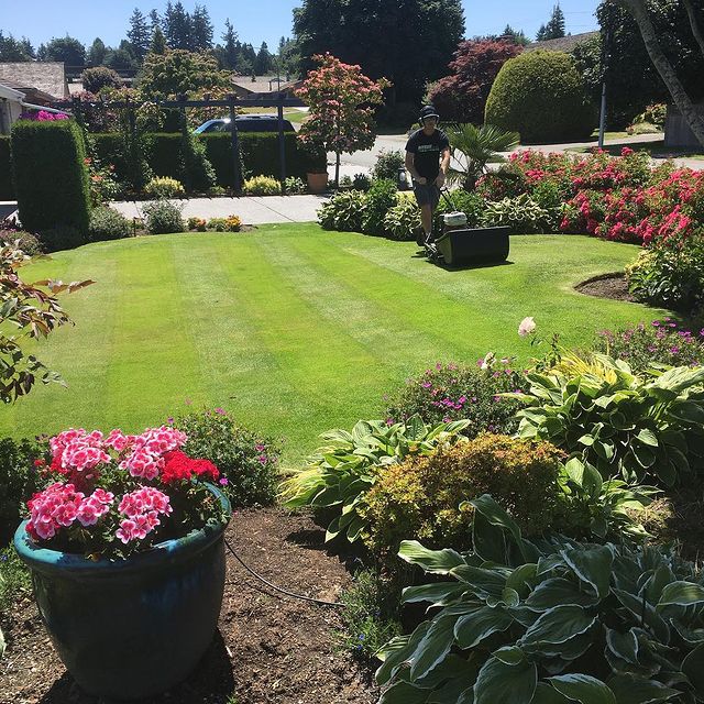 tba_biz's tweet photo. NEW MEMBER: A big #NDBAbiz welcome to Bayside Lawn and Garden. "We specialize in the #maintenance and #manicuring of your outdoor spaces. Call 604 816-8121, or message us, and a member of our team will get back to you within 48 hours." https://t.co/Ubu7GuocbY #NorthDelta #DeltaBC https://t.co/bl07Q6GTDp