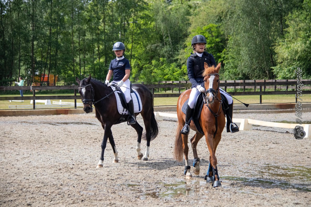 Dixie wedstrijd @dePaardenvriend in Waalwijk.

Een impressie

#Dixie #Pony #Paard #Horse 

flic.kr/s/aHBqjzQVEh