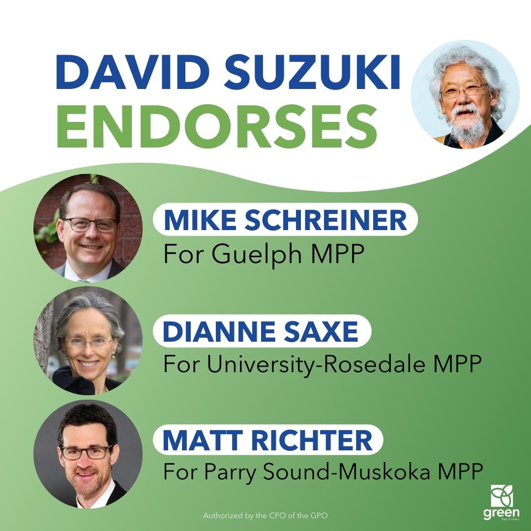 MikeSchreiner's tweet photo. Thank you David for endorsing 2 of our star candidates, @MattRichterGPO &amp; @DianneSaxe, alongside myself.

David recognizes that Greens have the leadership to deliver on tackling the #ClimateCrisis &amp; building a healthier, climate-ready future.

#VoteGreen #onpoli #OntarioVotes https://t.co/biAuQFbldO
