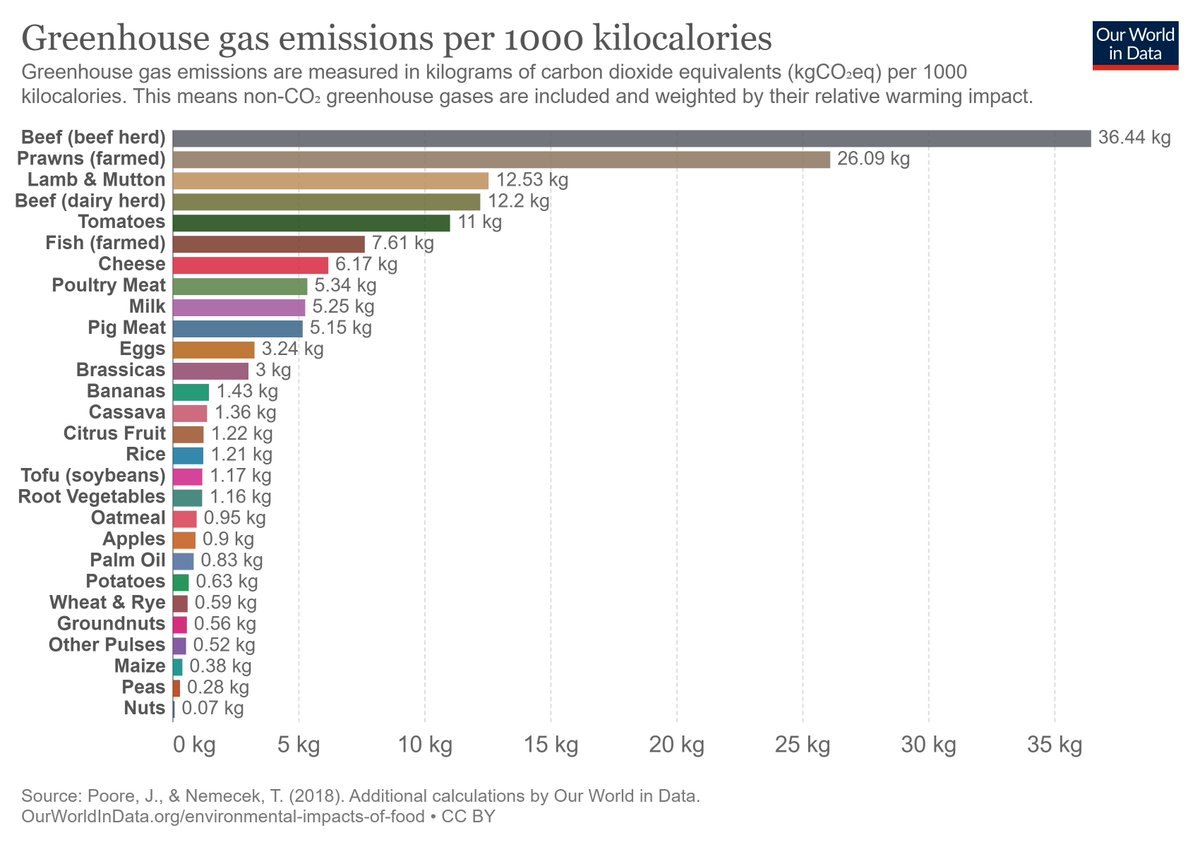 virideu_'s tweet photo. 3/
Where do I take #proteins, I cannot survive if I don't consume certain #products.

This is #false. Protein and calories are found in many  kind of foods, the only thing to consider is their #impact.

Graph credits @OurWorldInData https://t.co/KP8PY5t2Ia