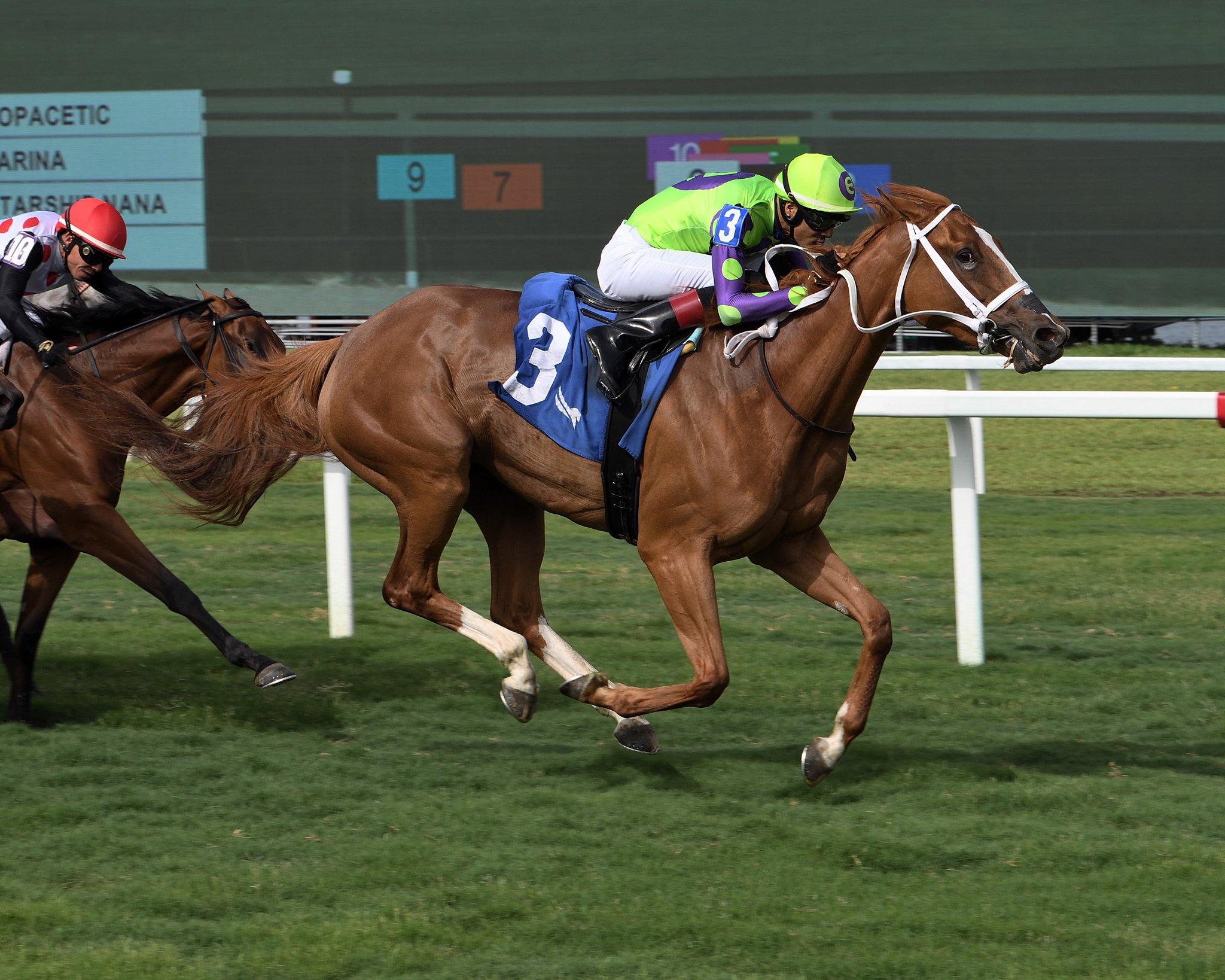Gulfstream Park Scratches Today - 6yfiyoz