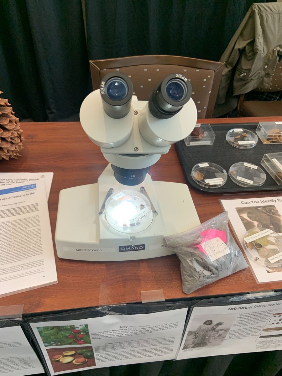 BioDivDay's tweet image. Have you ever looked into a microscope? If so, what have you seen?

Microscopes are used by researchers at the UC Davis Center for Plant Diversity and with the Nematology Collection to see their specimens up close. How cool!

#UCDavis #BiodiversityMuseumDay