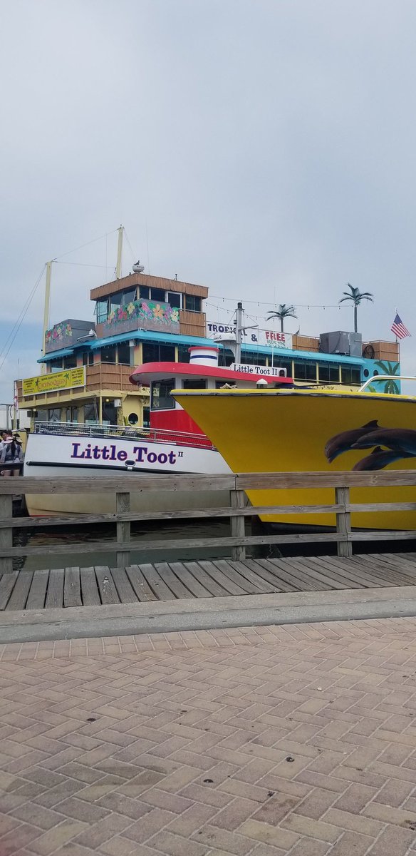 dbloccupancy's tweet image. Looking to see dolphins in #Clearwater ? Highly recommend Little Toot. The boat ride was amazing!