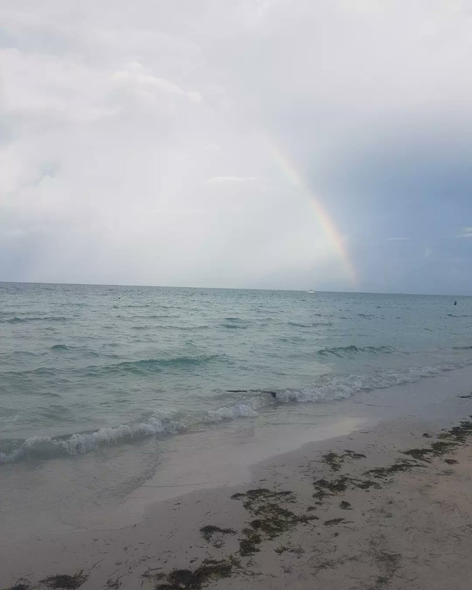 averagejohn314's tweet photo. 🌈🏝 https://t.co/XXoIoNm77r