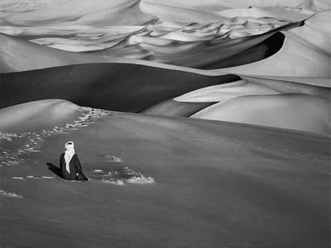 literlandweb1's tweet photo. “La libertad significa responsabilidad; por eso, la mayoría de los hombres le tiene tanto miedo".
George Bernard Shaw
📷 Sebastião Salgado https://t.co/ByHXSpSg3l