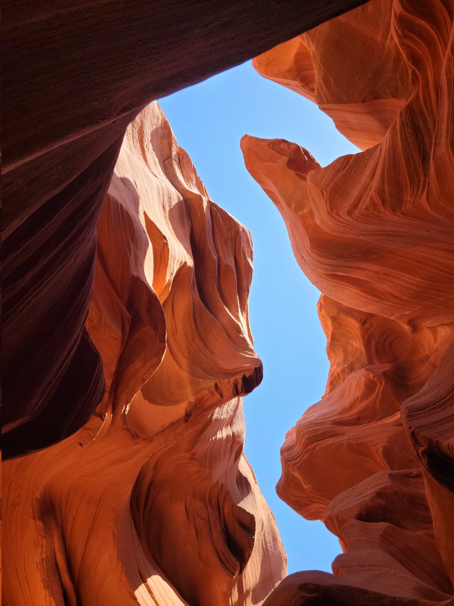 CX_AnthonyW's tweet photo. Nature is amazing #beauty https://t.co/fi0MRZxb6W