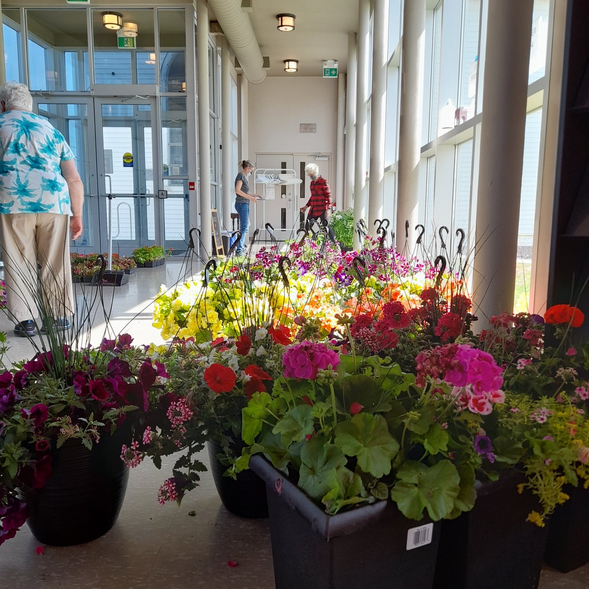 Today St. Luke's distributed our Flower Sale orders to the community, helping our neighbours brighten their gardens for another year! We thank God for all the people whose purchases supported our ministries and community programs, and especially for our volunteers!
#flowers