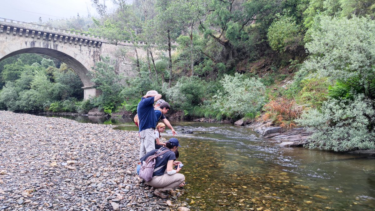 LifeAgueda's tweet photo. #happyfish, happy people! We've finished our #WorldFishMigrationDay celebration upstream of our starting point. Up and down the river, as promised 😊🐟. We thank the participants for sharing this great day with us! 
#fishmigration #damremoval #fishpass
#LIFEprogramme https://t.co/qmUJ7PENqx