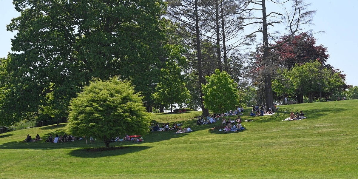 wesleyan_u's tweet photo. What better way to start Saturday morning than with an honored Wesleyan tradition—the Annual Parade of Classes. Then cool down inside for the Webster Family Natatorium Dedication and on to the Picnic & Festival on Foss Hill!
#Wes2022 #WesGrad #WesReunion #WesAlumni
@wes_alumni https://t.co/3c8l37RGsa