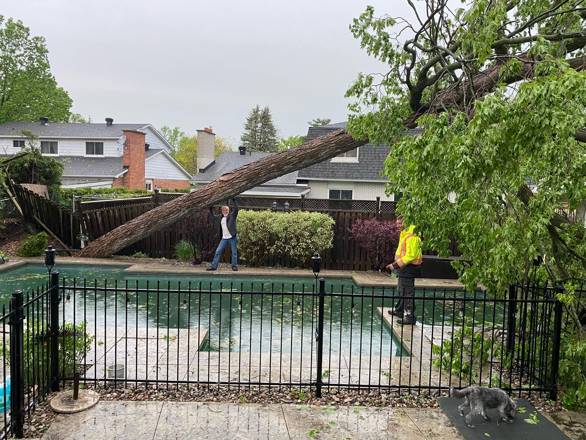 <a href="/ctvottawa/">CTV Ottawa</a> A 50+ year old tree fell in my backyard during the #ONStorm roots and all!!