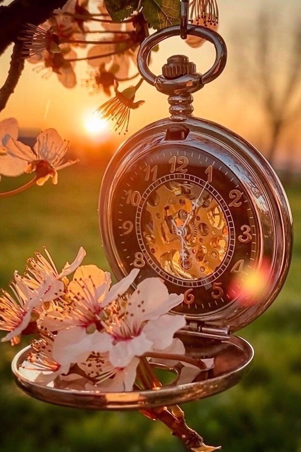 3D2023's tweet photo. #sunset 
#Night #Twitter #world https://t.co/5WpQ1hpmhb