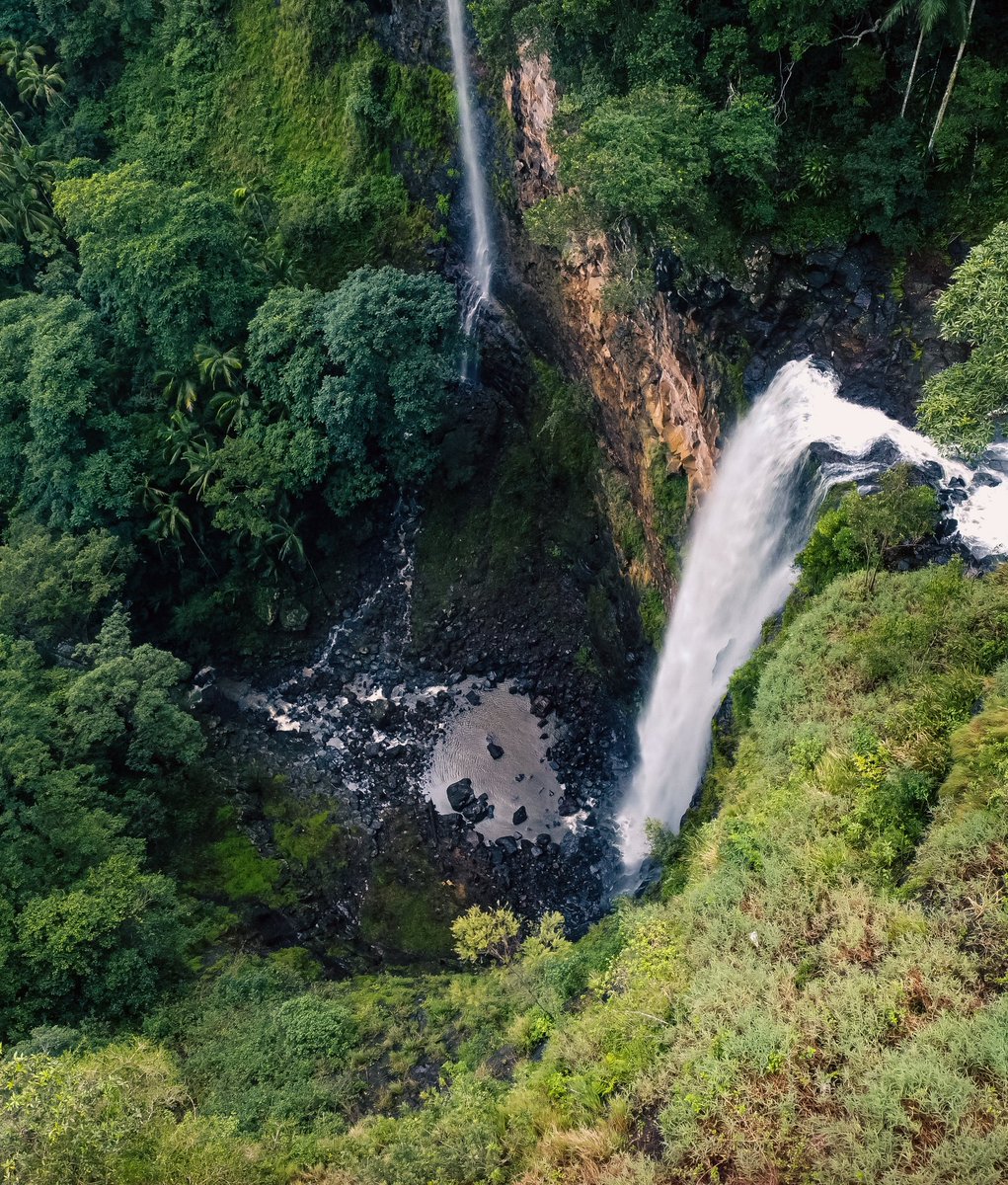 ALP_Australia's tweet photo. Isn’t she lovely? 120 metre of waterfally glory up on the range #sunshinecoast #queensland #australia #landscapephotography https://t.co/pHh8yOhrEg