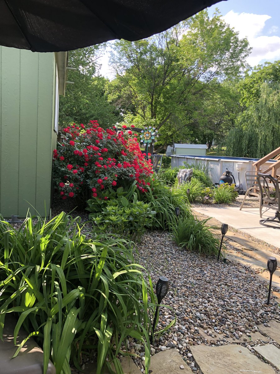 booksnobsue's tweet photo. We are going old school today 🤣.

#FlowerSnob #FamilyTime https://t.co/TLzMEma5TB