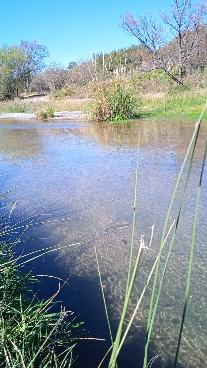 MarcelaBocco's tweet photo. Pinceladas de belleza silvestre.
El Tegua en otoño.
Arroyo Tegua.
Alcira Gigena. Córdoba. Argentina. https://t.co/1jrLisg6t8