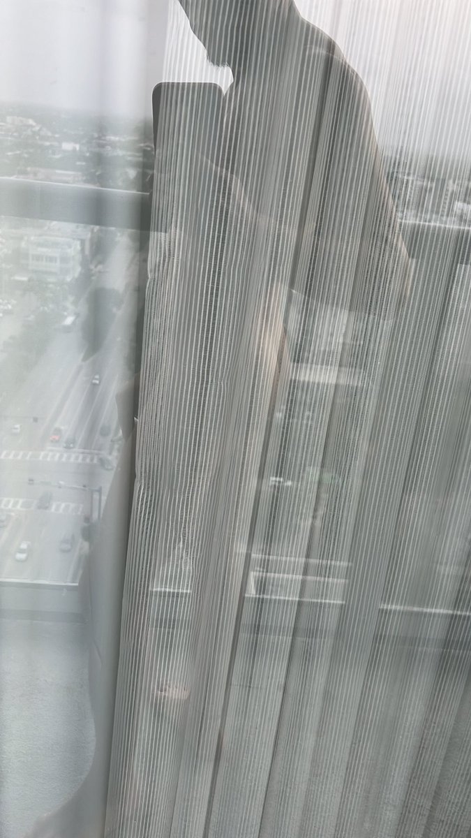 FF BTTM PiG tweet media