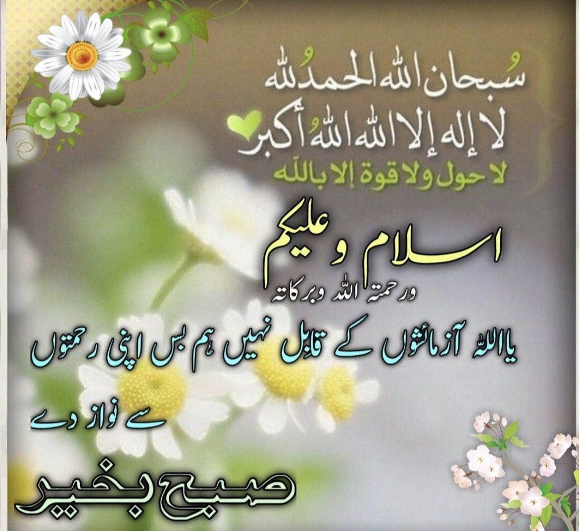 WA_PK01's tweet photo. اسلام علیکم🍀 
صبح بخیر 🌾🌴 https://t.co/seOO4dlpDD