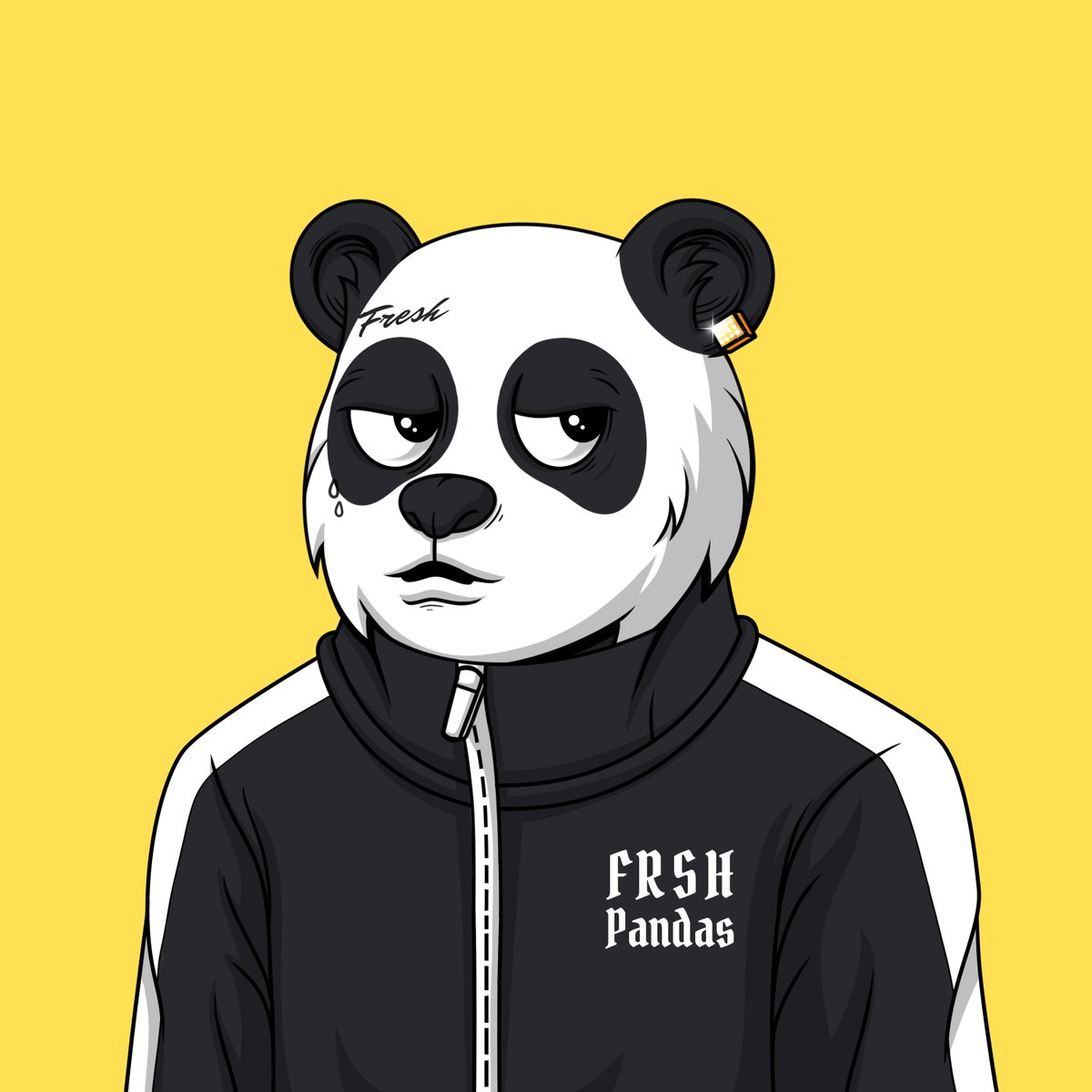 Fresh Pandas tweet media