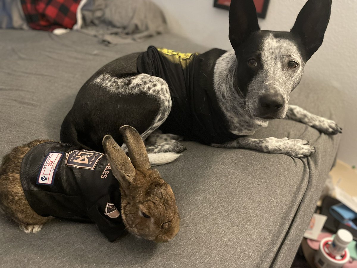 TheRealSandoval's tweet photo. @LAFC Bradley &amp; Sanders patiently waiting for the showers to end and the beer showers to commence https://t.co/xHI4tk8Lih