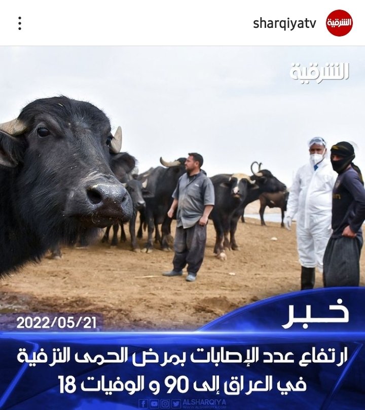 tuqa34910348's tweet photo. مع تزايد اعداد الاصابة و الوفيات بمرض  الحمى النزفية و النقص الكبير في الكوادر الطبية البيطرية ، يجب تطبيق  قانون التدرج الطبي البيطري و توفير التخصيص المالي له اما من  قانون الدعم الطارئ او من  احتياطي الطوارئ   

 #التويتر_بيطري https://t.co/5sJfCh5gi4