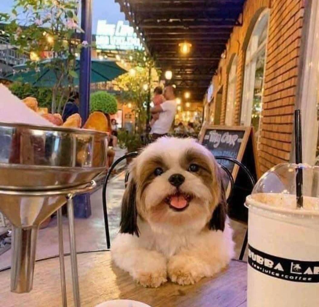 Guarromantico_'s tweet image. La cita perfecta no exis...