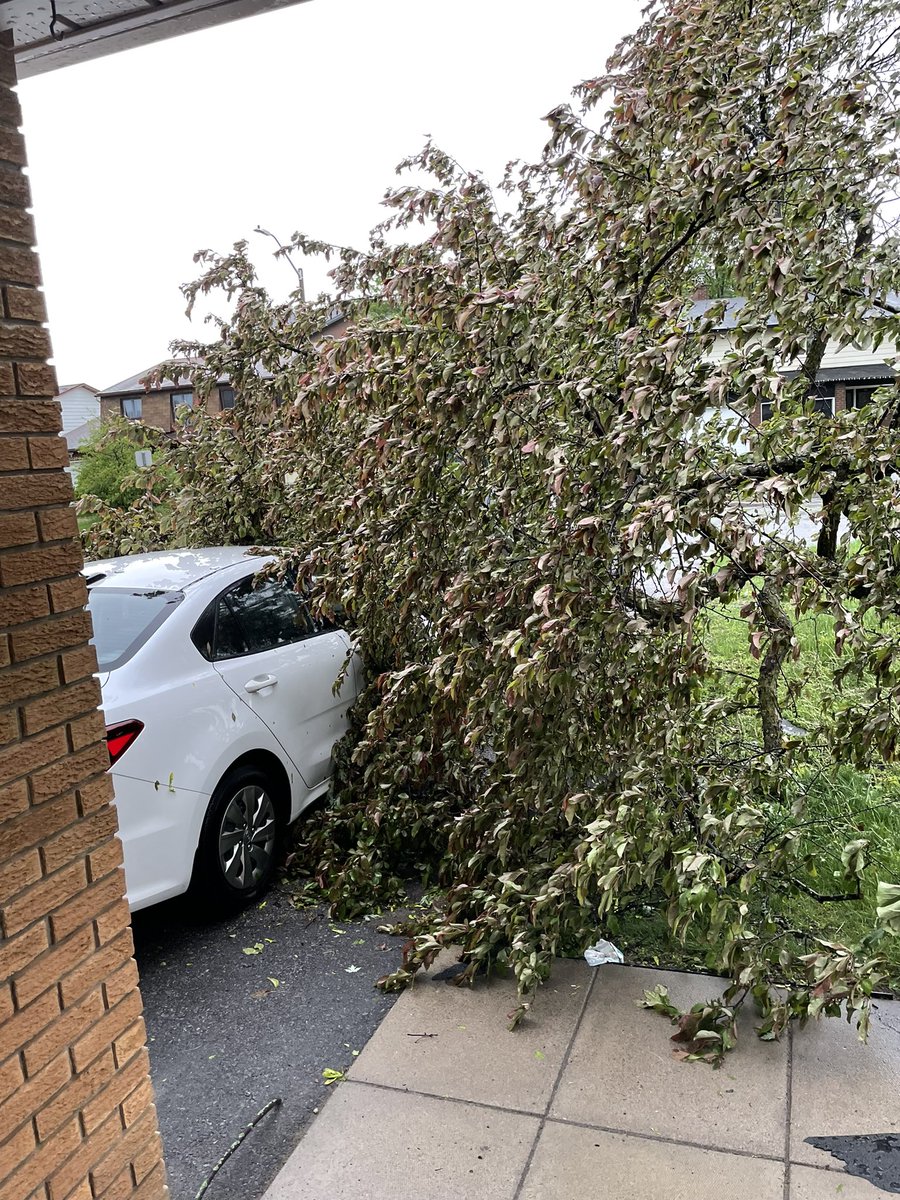 animalsrock293's tweet photo. Good thing we didn’t put a fence in this weekend #ONStorm #ottawa https://t.co/tGh1VGyaMC