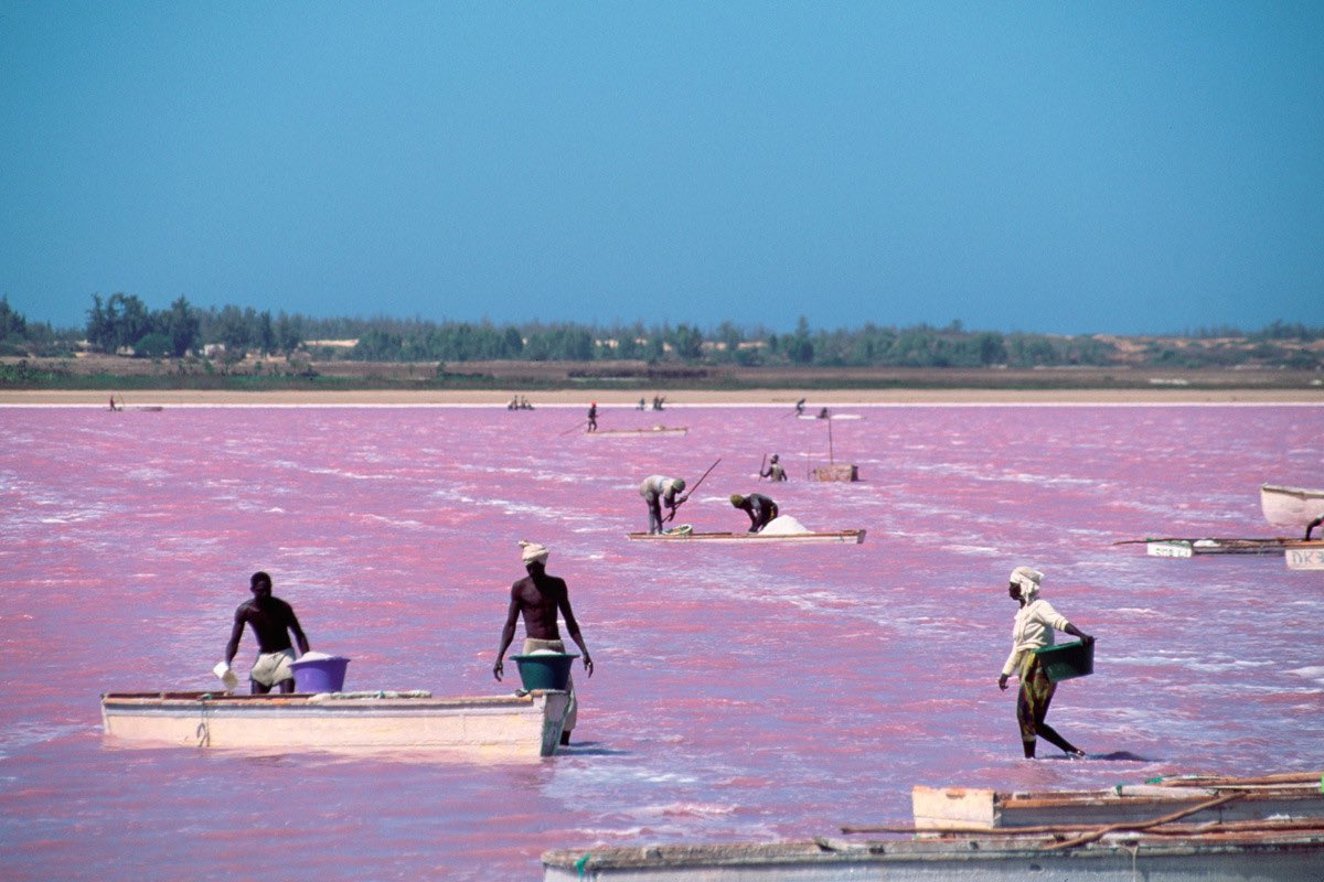 SabrinaenPeru's tweet photo. El Lago Retba, más conocido como el lago rosa está ubicado en  Senegal 🇸🇳 está entre dunas y palmeras🌴Su color se debe a los minerales que contiene el lago, y la intensidad varía según el momento del día. La mejor hora para visitarlo es al amanecer 🌅
#DescubreElmundoconAVGE https://t.co/jqNqGCczSi