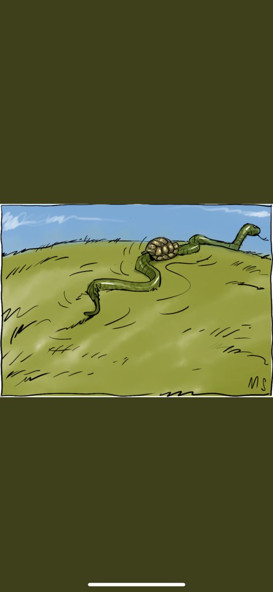 Carlos Alonso Muñoz tweet media