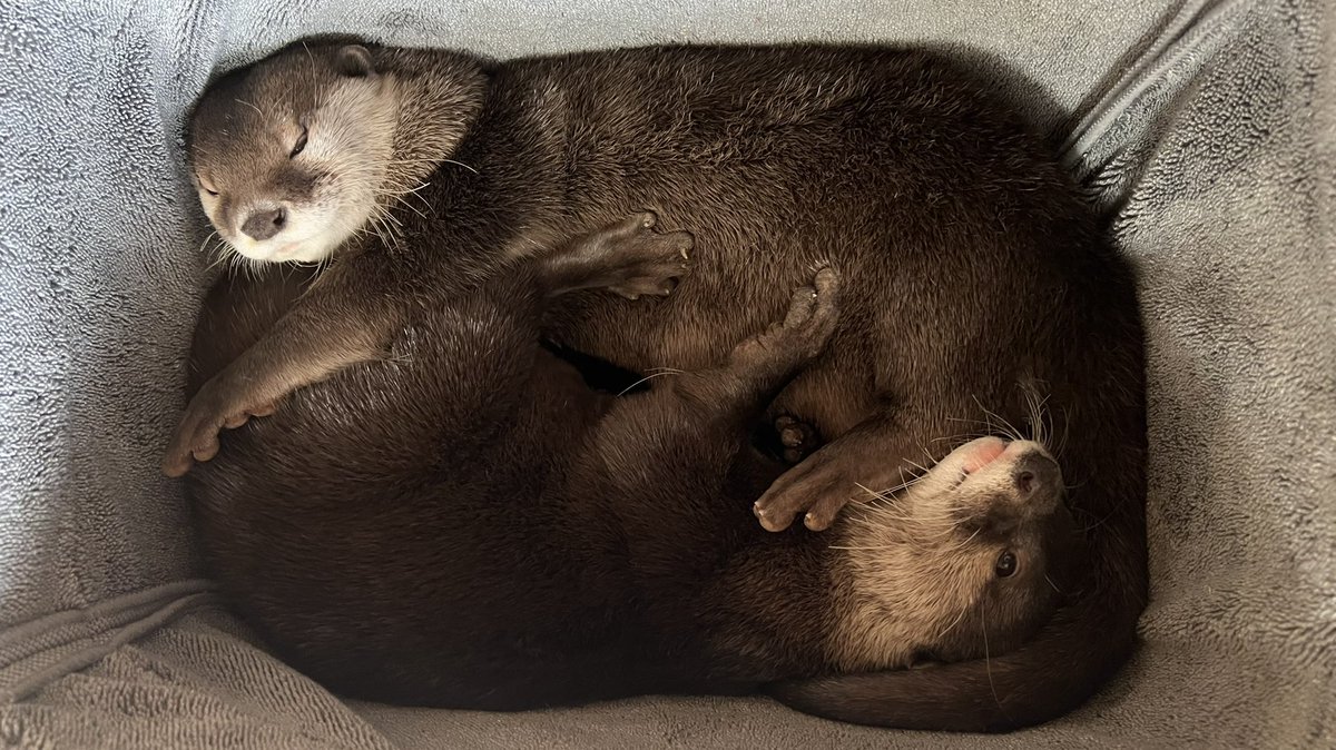 You guys are so friendly in the morning.
朝から仲良いね、あんたたち。