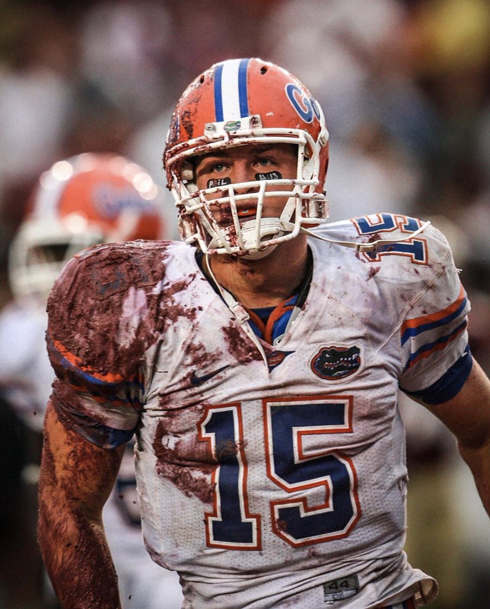 🅵🅻🅾🆁🅸🅳🅰🐊Gata Go Gata tweet media