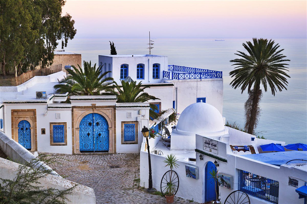 SabrinaenPeru's tweet photo. Sidi Bou Said es un pueblo tunecino 🇹🇳con vistas al mar  🌊 que destaca por sus casas de arquitectura árabe,son blancas con puertas y ventanas azules por ello es conocido como “pequeño paraíso blanco y azul" 🦋.
#DescubreElmundoconAVGE https://t.co/bFXUnH75mQ