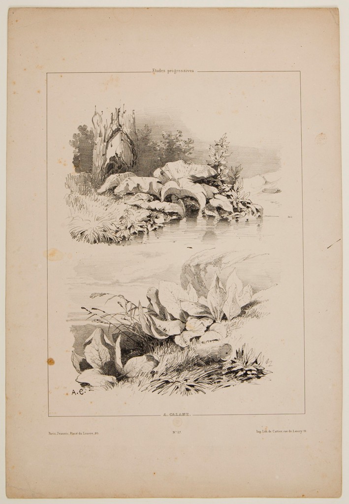 ham_prints's tweet photo. Alexandre Calame, Two Sketches of Waterside Large-Leaved Undergrowth, 19th century #alexandrecalame https://t.co/BtYQxOyPRZ https://t.co/HkV5n7atFL