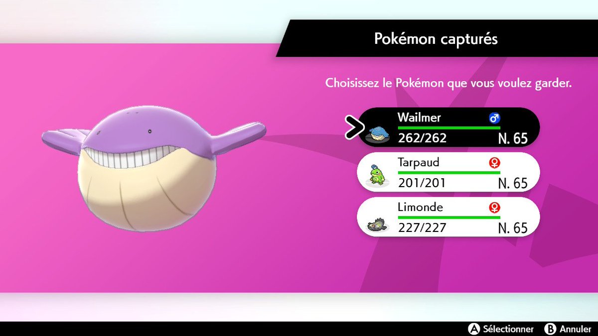 Tomisy_Sh's tweet photo. Après une petite centaine d'expéditions de Rayquaza avec CC, enfin un shiny pour le @Projet_CSLD avec ce petit Wailmer ! https://t.co/z6GEje5XKh